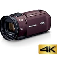 Amazon.co.jp: パナソニック 4K ビデオカメラ VX1M 64GB あとから補正