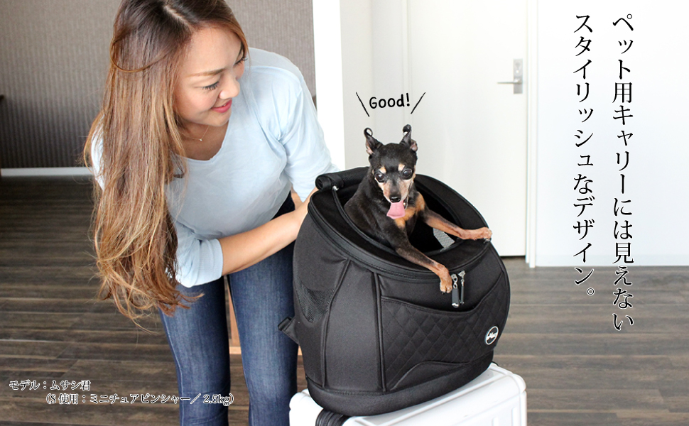 Amazon | 【eMus/ｴﾐｭｰｽﾞ】ｵﾘｼﾞﾅﾙﾘｭｯｸｷｬﾘｰ (M, ブラック) | eMus