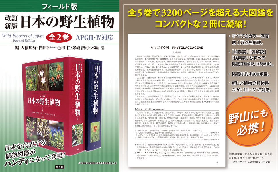 Amazon.co.jp: フィールド版 改訂新版 日本の野生植物I: ソテツ科