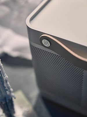 Amazon.co.jp: Bang & Olufsen ワイヤレススピーカー Beolit 17 通話