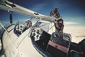 Amazon | 4Pets ペントハウス ペット キャリー カサブランカ 小型犬