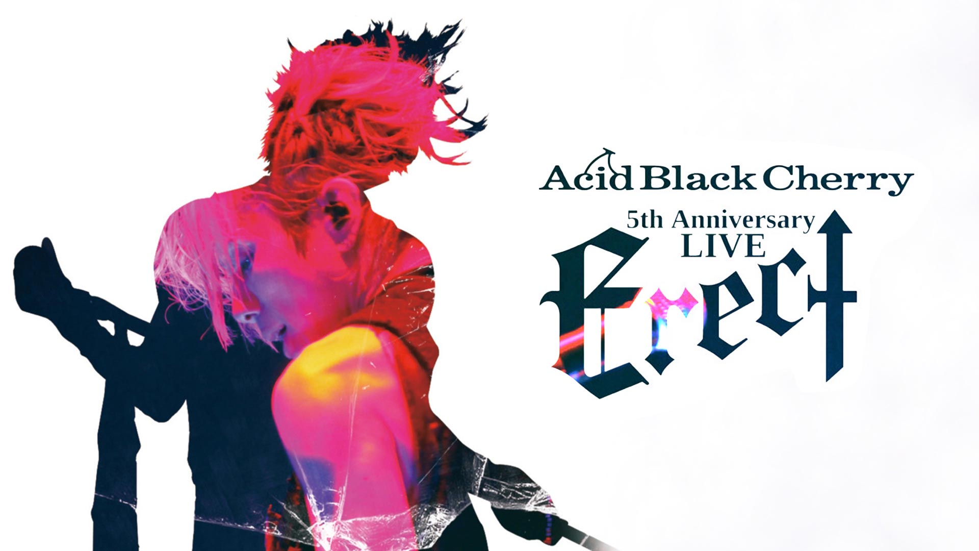 Acid Black Cherry O.E.D. ポスター Acid Black Cherry ポスター