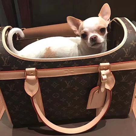未使用品♡美品♡ルイヴィトン小型犬用キャリーバッグ