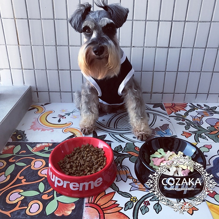 犬 フードボウル シュプリーム 陶磁器の容器 supreme ペットフード