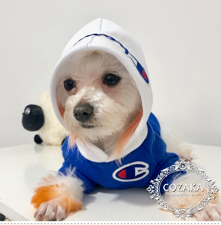 champion 犬パーカー 帽子付き猫服 秋冬 暖かい 防寒 チャンピオン