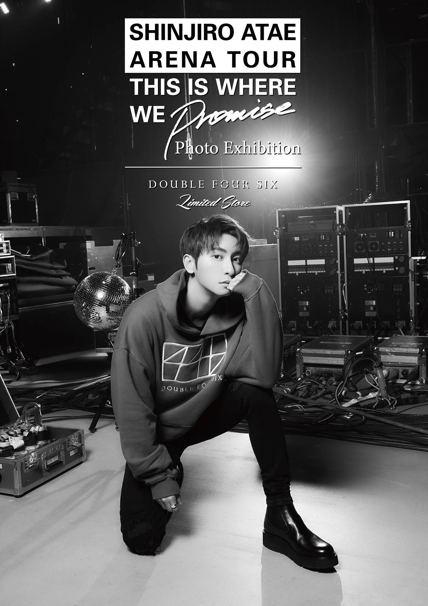 アーティスト活動休止前最後のソロでのアリーナツアーを記念したフォト