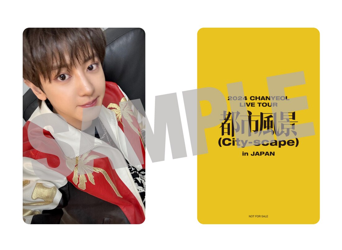 レア EXO チャニョル discover seoul pass トレカ レア EXO チャニョル