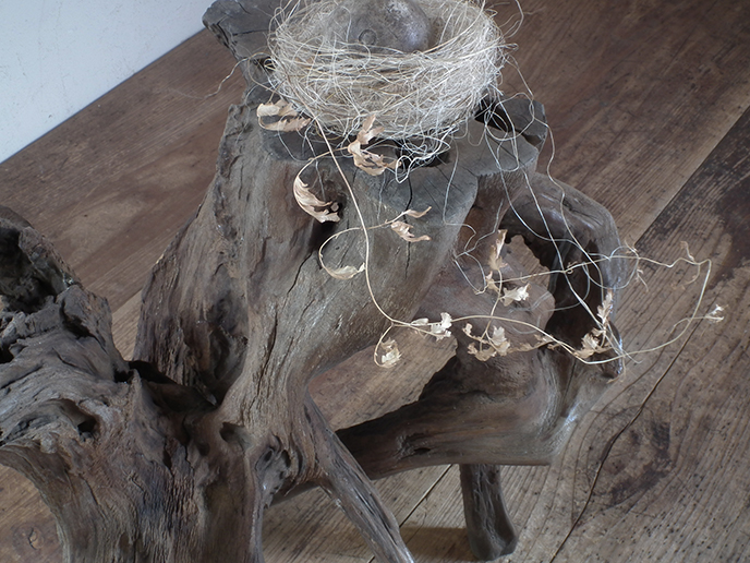 Z00246 流木 オブジェ 天然木 | MANSIKKA antiquesMANSIKKA antiques