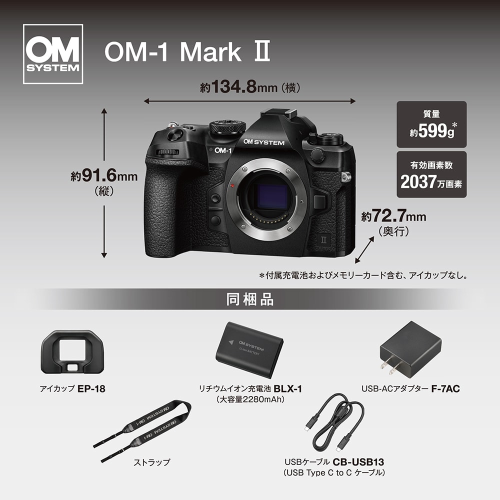 Aランク 良品 OLYMPUS OM-2N マクロレンズセット 1週間返品保証付 A