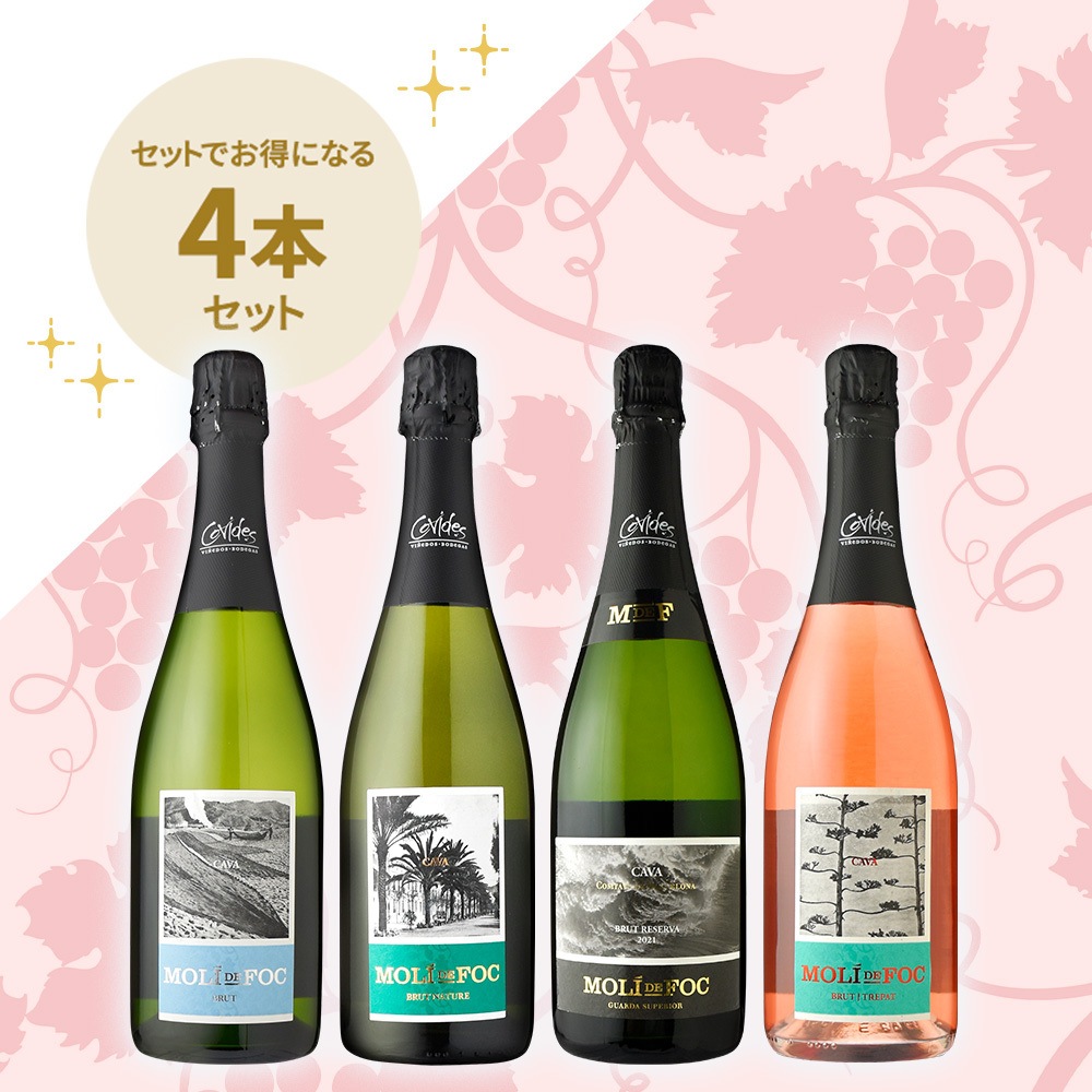 ワインセット マルティヤック 1993 王様の涙 ワインセット マルティ