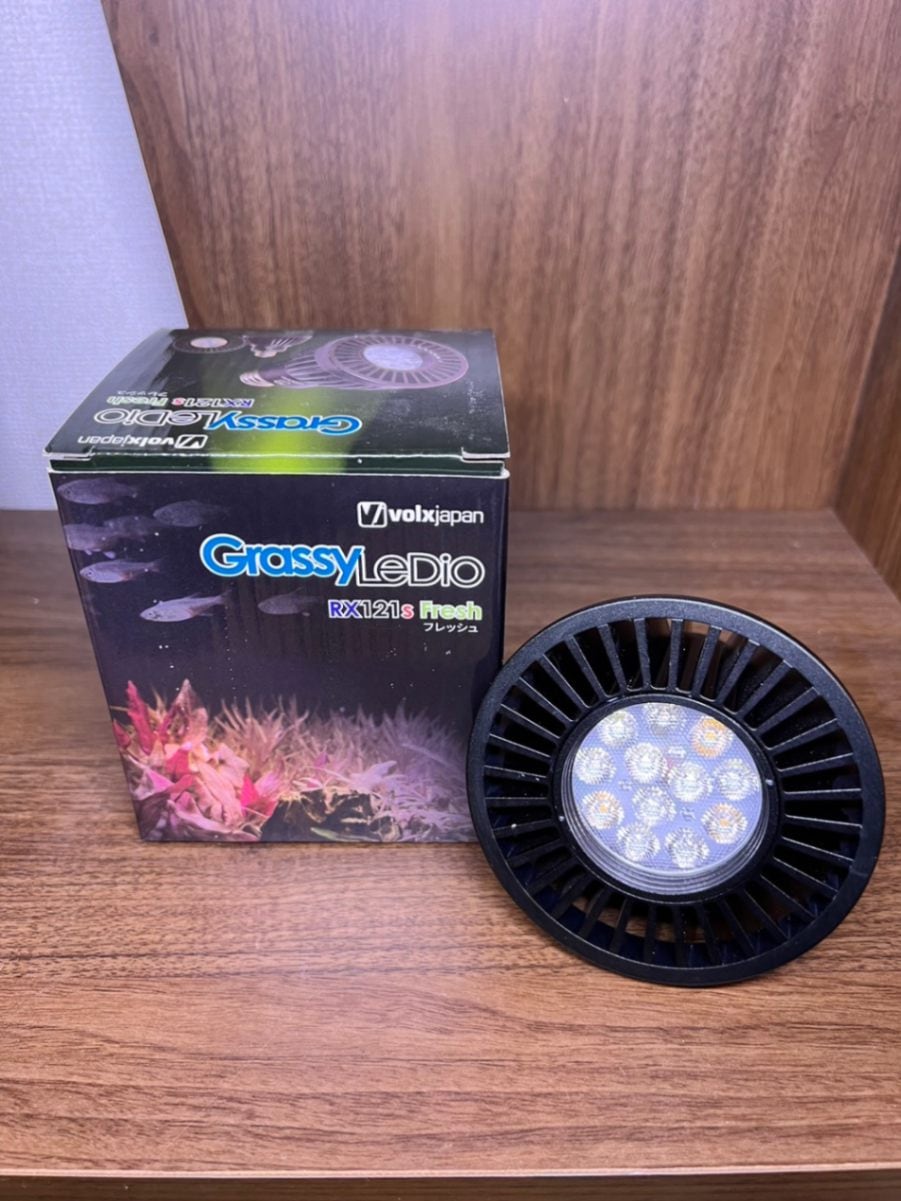 volxjapan RX121s Fresh + BT2 / 5個セット売り