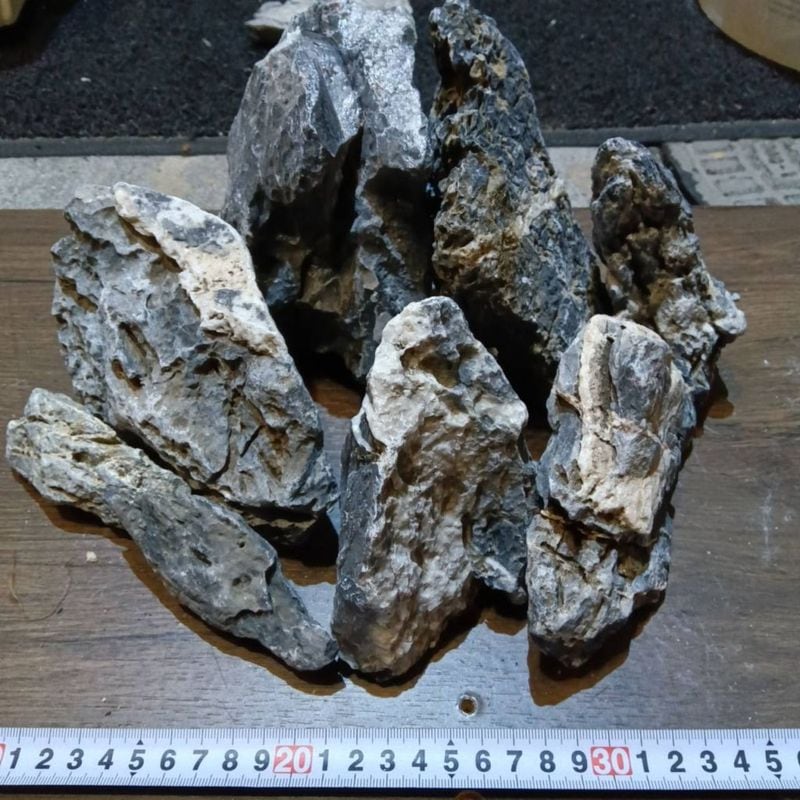 TALLMAN 純水器 ”ダイナマイトバズーカ” | オリジナルグッズ,飼育用品