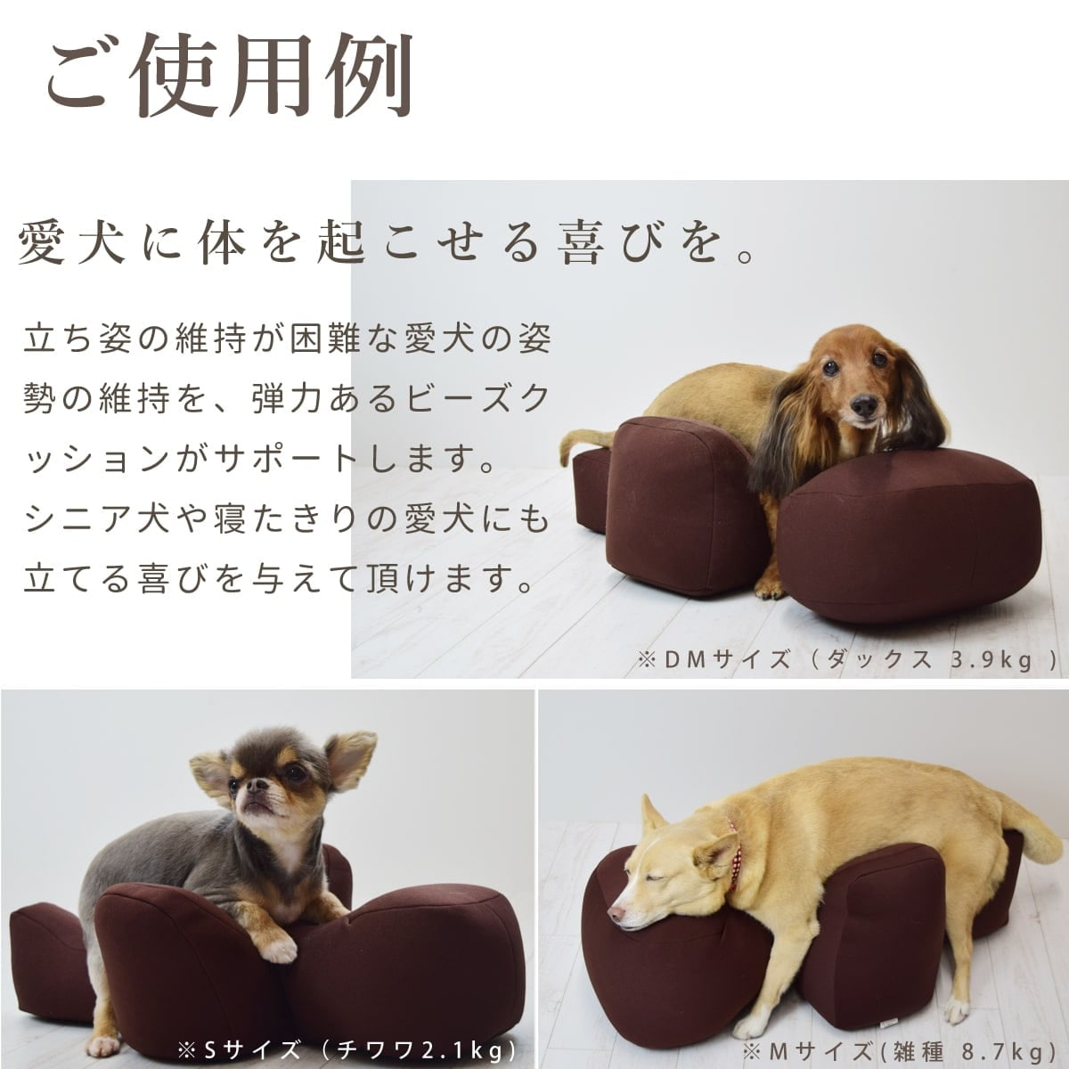 犬 介護 クッションならリラクッション｜老犬の寝たきり・床ずれ防止