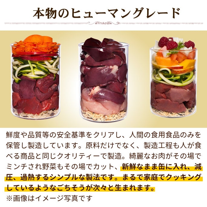 犬用缶詰 テラカニス クラシックラム 400g ラム肉とズッキーニ・キビ
