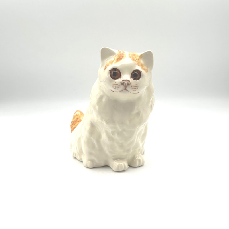 ウィンスタンレイキャット（ケンジントンキャット）ハチワレの子猫