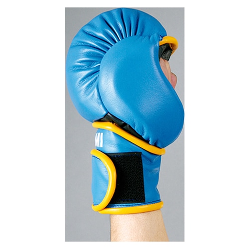 IS-756 パウンドグローブ (納期約7～8ヶ月) | すべての商品 | | 格闘技