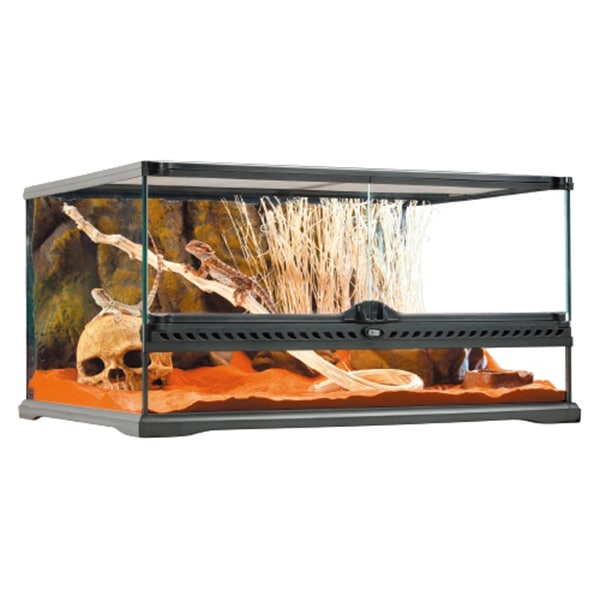 エキゾテラ 6030 色々セット グラステラリウム6030 エキゾテラ GEX