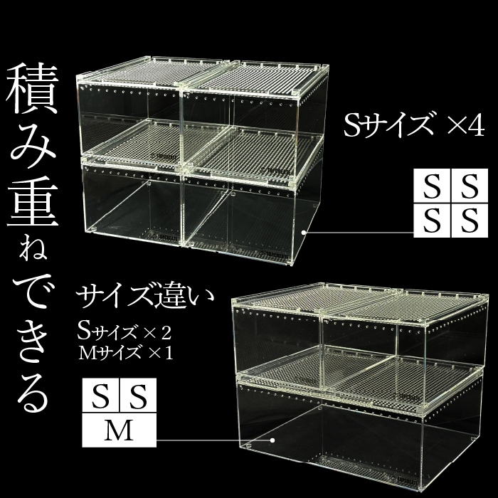 5個セット レプタイルボックス レプタイルボックス 5個セット 爬虫類