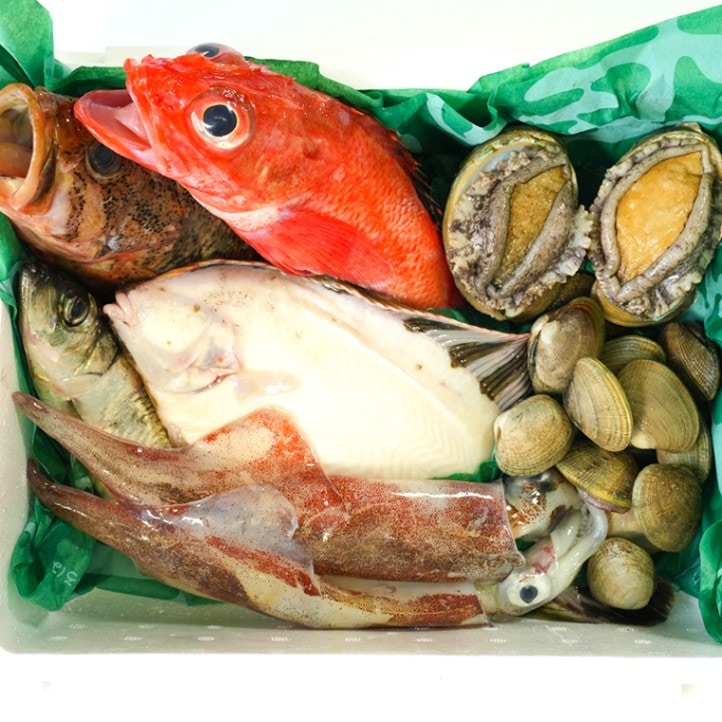 3591 外国切手 国々 魚類 海洋生物シリーズ 4セット16種完 3591 外国