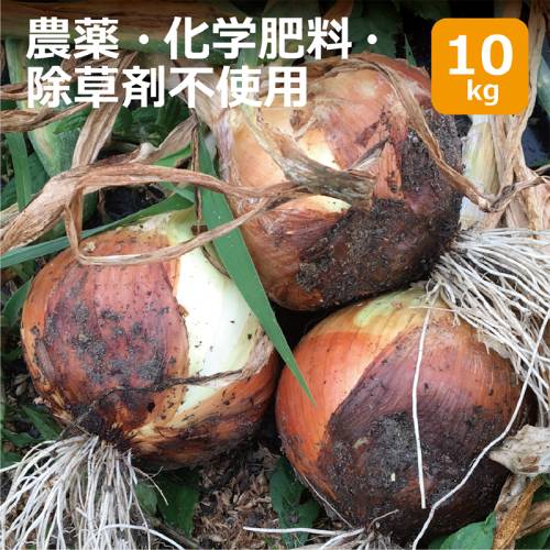 無農薬・有機栽培食材 | 自然食品手当オーガニック通販 健康サポート専門店