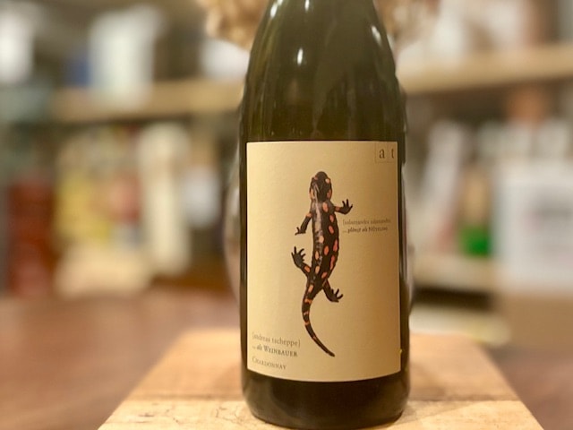 サラマンダー(トカゲ) 2022（SALAMANDER 2022）白 / アンドレアス