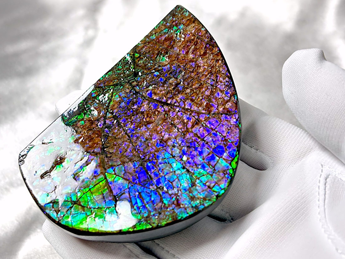 アンモライト 樹脂スタビライズ加工 天然宝石 化石 標本 カナダ産