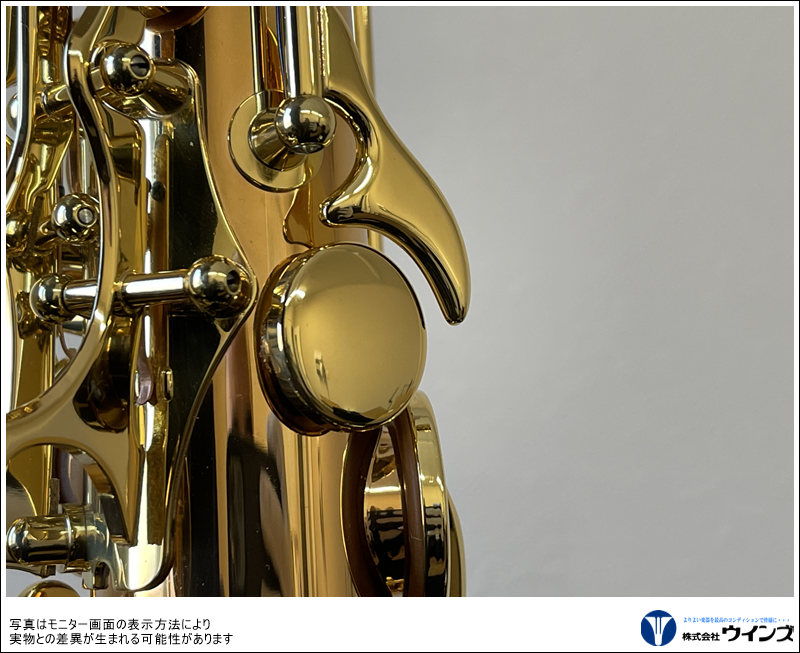 ヤナギサワ テナーサックス T-WO20 | 管楽器【新品】 | WINDS-Kawagoe