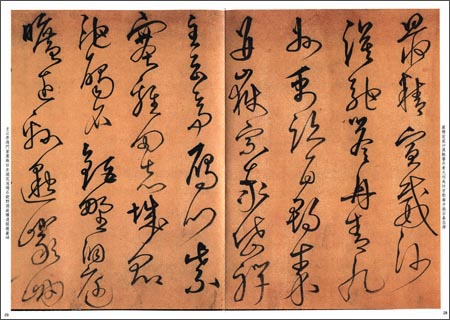 沈粲草書千字文 館蔵国宝墨跡62 中国語書道/沈粲草书千字文