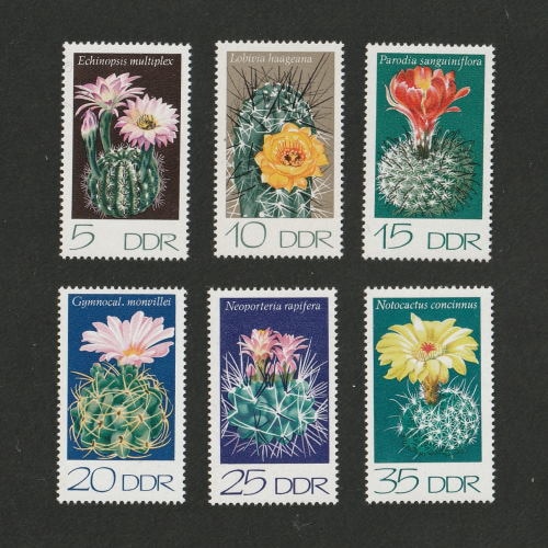 3348 外国切手 ドイツ 1991年 花 シリーズ 5種完 ドイツ | ☆外国切手