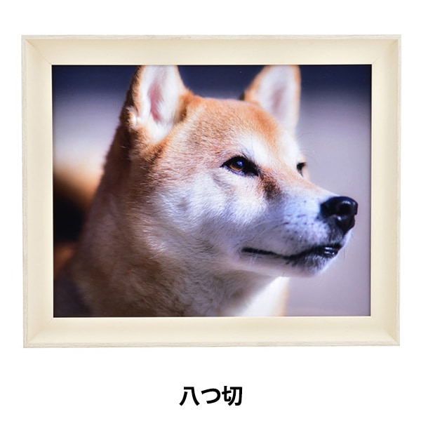 額 『デッサン額 八ツ切 柴犬 アイボリー 8158』 画材・文具,額