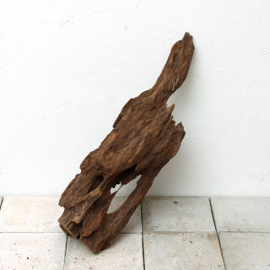 スラウェシウッド [ 厳選流木 ]