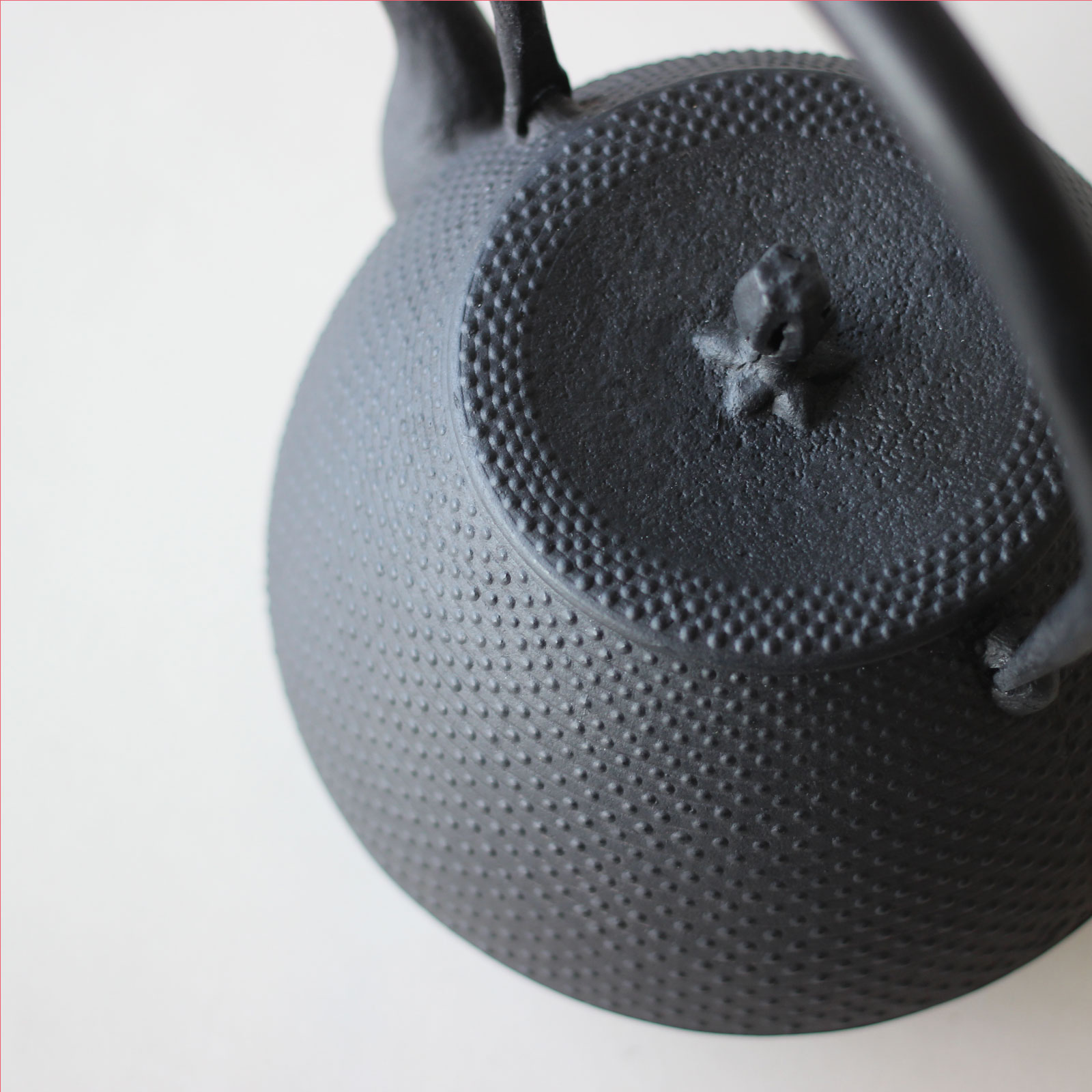 釜定の鉄瓶 「秋の実 あられ」 | zuiun onlineshop