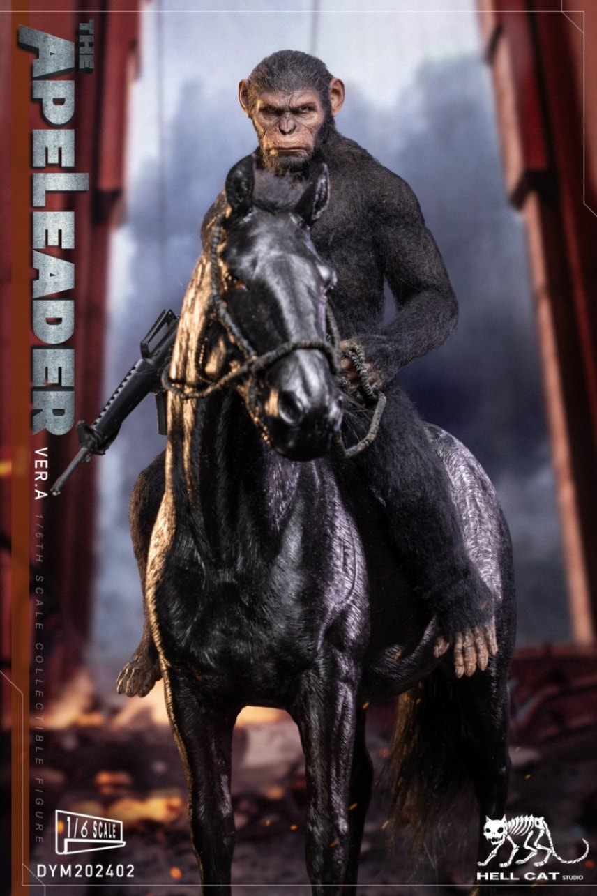 Ninja Cat 1/6スケールフィギュア Amazon.co.jp: 1:12カワサキニンジャ