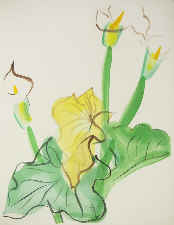 ラウル・デュフィ 挿画本『植物誌』 | | アトリエ・ブランカ