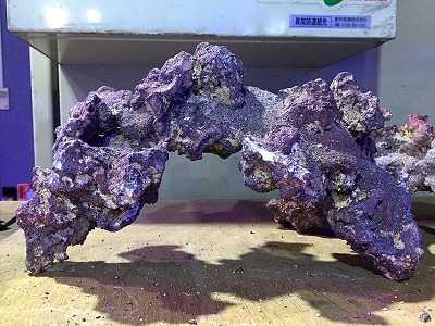 人工ライブロック 人工ライブロック 自作キット - 海水魚・小型水槽