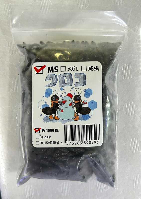 冷凍クロコオロギ（MSｻｲｽﾞ） | 冷凍エサ（肉食生物向け