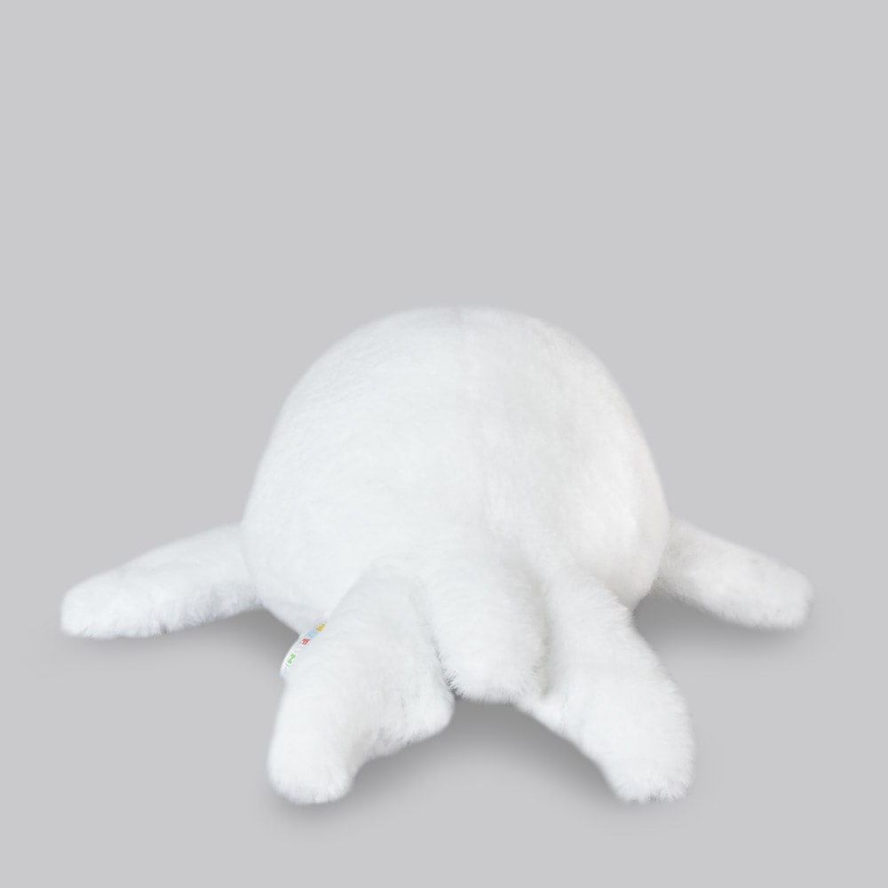 ほわほわアザラシちゃんの赤ちゃんJB おもちちゃん / Howa howa