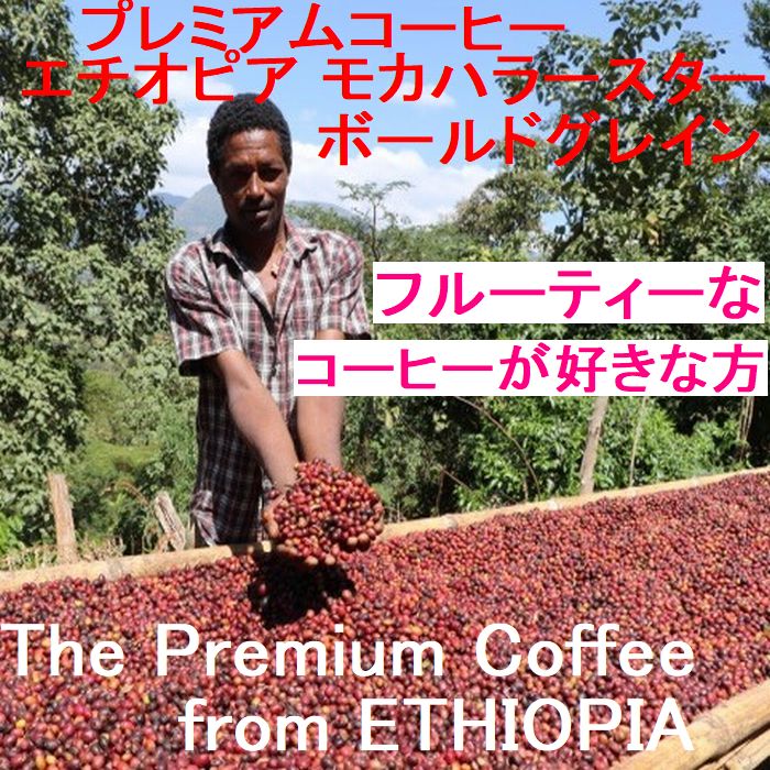 コーヒー生豆格安】エチオピア モカ ハラー ボールドグレイン 7kg