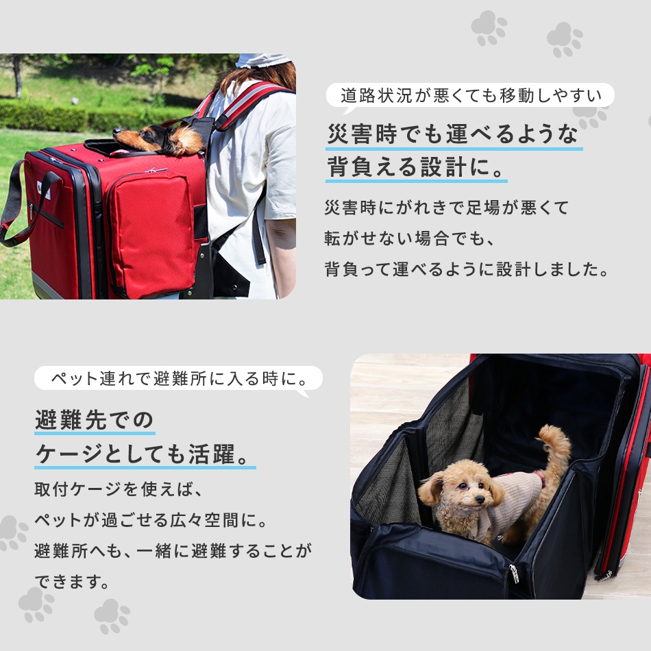 7,000円以上購入者限定 30%off！】ペットリュック キューブroom PC