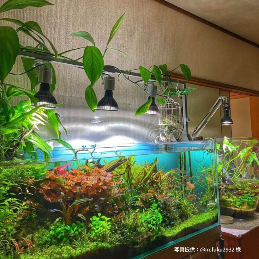 専用 AMATERAS LED kumanomi 360 送風機 クリップAMATERAS／レディオ