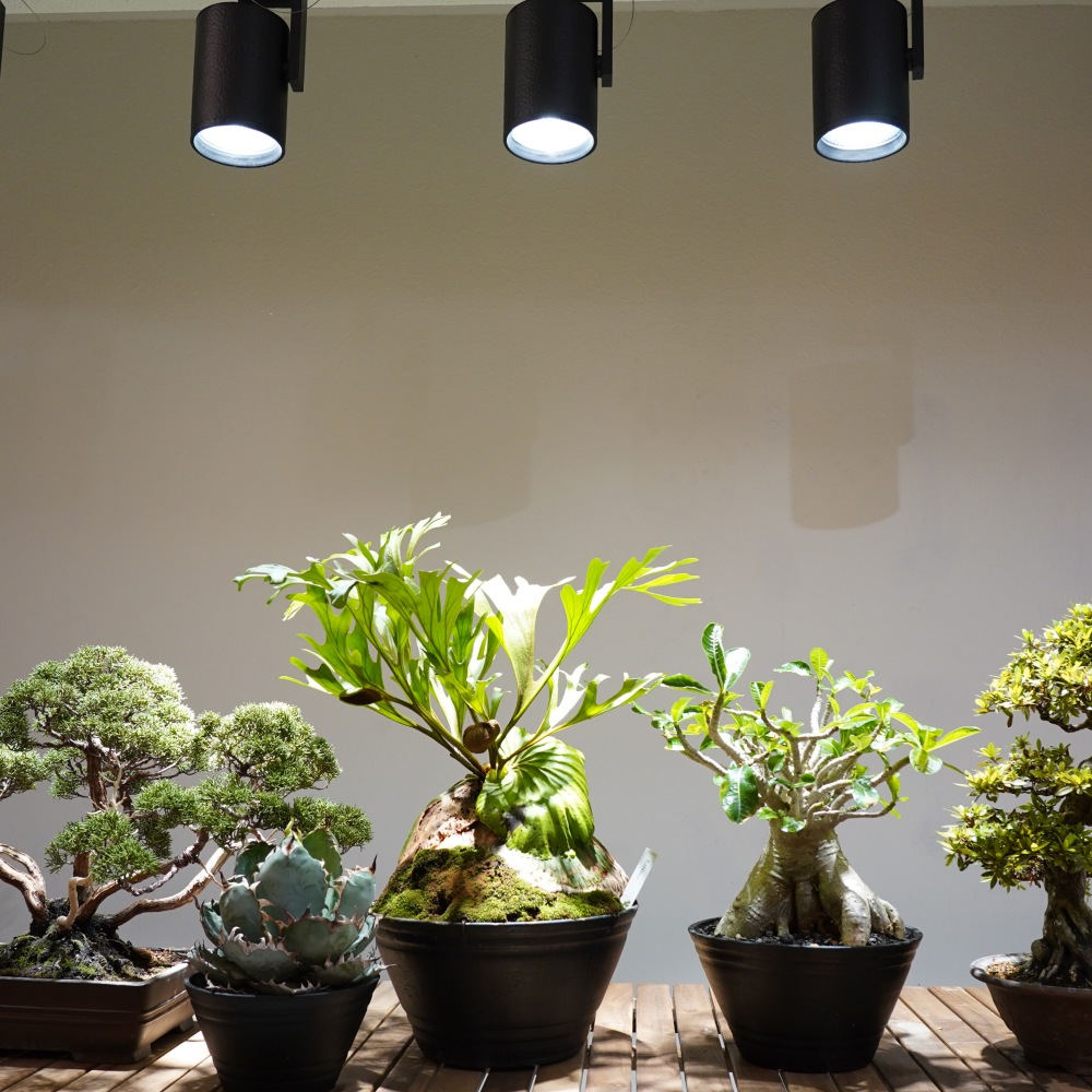 植物育成ライト専門店BARREL｜【HADES LED 45W】PRO SPEC｜スポット型