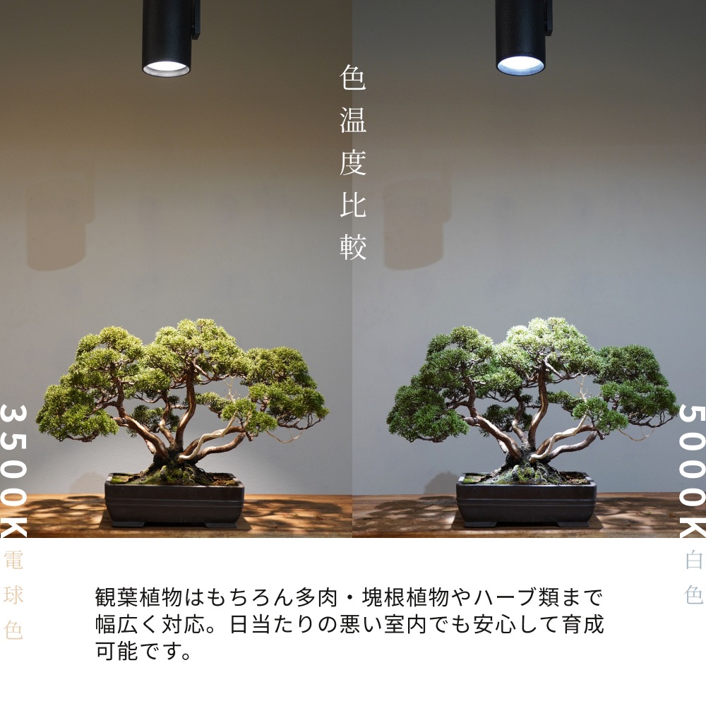 植物育成ライト専門店BARREL｜【HADES LED 45W】PRO SPEC｜スポット型