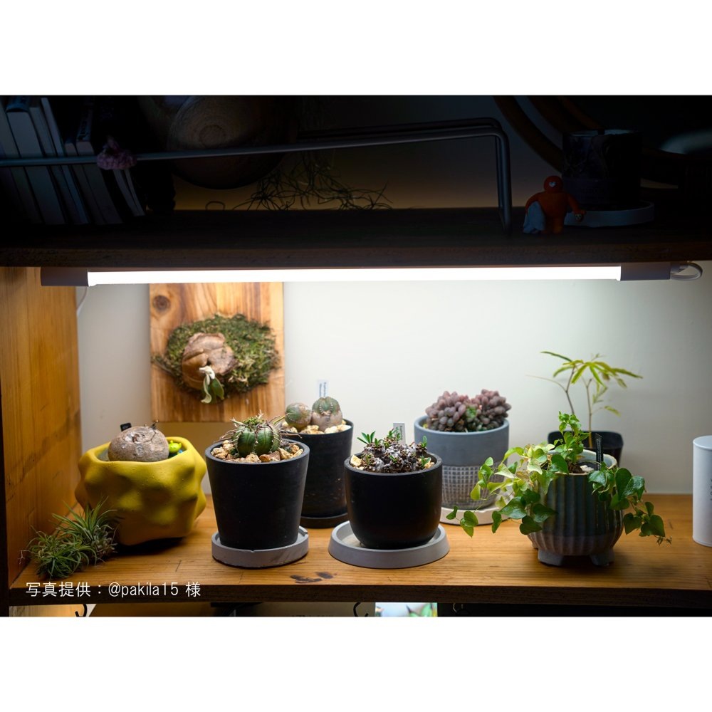 植物育成ライト専門店BARREL｜【SHELF GROW SLIM】バー型