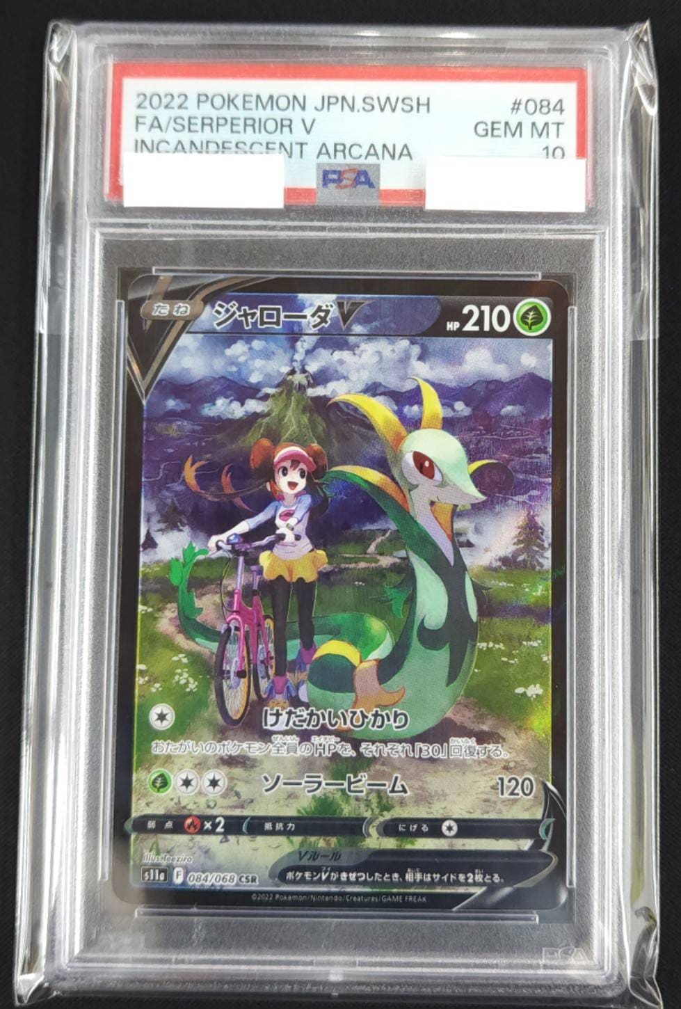 ポケモンカード ジャローダV PSA10 ジャローダV《PSA10》[CSR](S11a