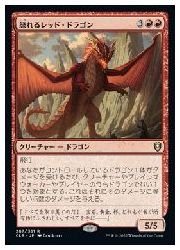 MTG 「ドラゴンの日」foil日本語 美品 稀少 MTG 「ドラゴンの日」foil