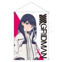 キャンセル分販売】SSSS.GRIDMAN 抱き枕カバー 新条アカネ | か行,SSSS