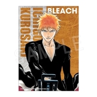 予約】BLEACH B3布ポスター 藍染 惣右介 | は行,BLEACH | Chugaionline