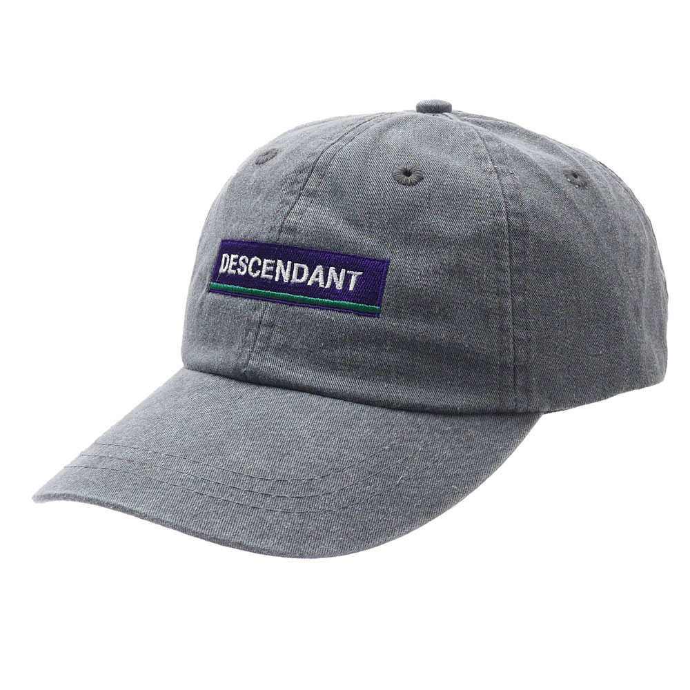 DESCENDANT HORIZON 6PANEL CAP Gray
