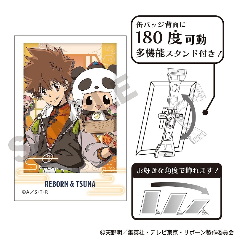 Rebo＆Dlive COLLECTION 缶バッジリボーン沢田
