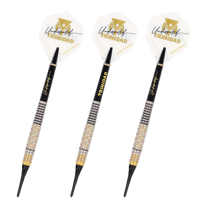 リカルドα ダーツ　浅田斉吾 1_000000052478_3.jpg